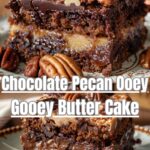 Decadent Chocolate Pecan Ooey Gooey Butter Cake