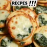 Spinach Dip Cheese Crisps