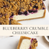 Blueberry Crumble Cheesecake