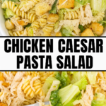 Chicken Caesar Pasta Salad
