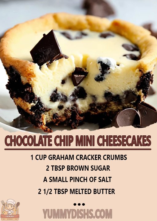 Chocolate Chip Mini Cheesecakes Recipe