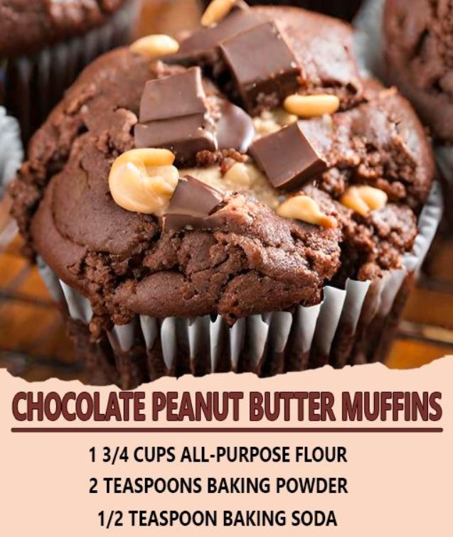 Chocolate Peanut Butter Muffins