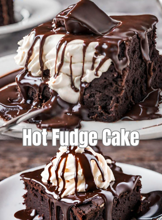 Hot Fudge Cake
